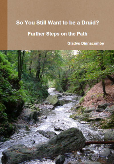 So you still want to be a Druid Front Cover