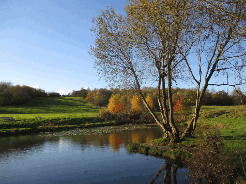  Country Park 